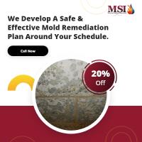 Mold Solutions & Inspections image 3