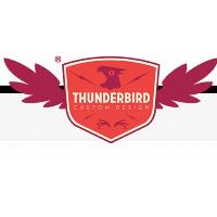 Thunderbird Custom Design image 1