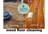 Pro Carpet Care & Cleaning Services LLC image 7
