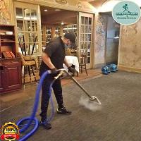 Pro Carpet Care & Cleaning Services LLC image 1