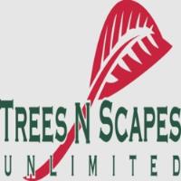 Trees N Scapes Unlimited image 1