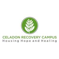 Celadon Recovery image 1