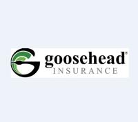 Goosehead Insurance - Ruth Hernandez image 2