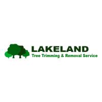 Lakeland Tree Trimming & Removal Service image 1