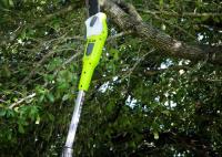 Lakeland Tree Trimming & Removal Service image 4