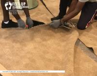 Feet Up Carpet Cleaning Eastchester image 7