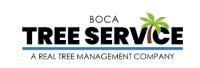 Boca Tree Service image 1