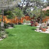 Professional Lawn Care in San Antonio image 2