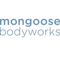 Mongoose Bodyworks - Pilates in Soho NYC image 1