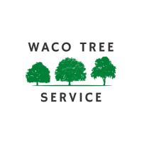 Waco Tree Service image 1