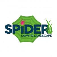 Spider Lawn & Landscape image 1