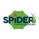 Spider Lawn & Landscape logo