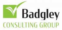 Badgley Consulting Group image 3