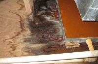 Mold Experts of Macon image 3