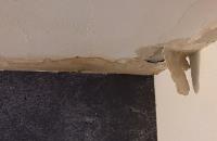 Mold Experts of Macon image 4