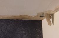 Steel City Water Damage Solutions image 1