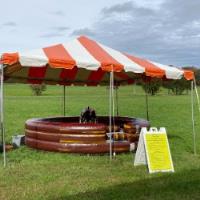 Inflatable Rentals Chattanooga image 11