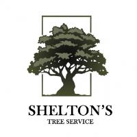 Shelton's Tree Service image 1