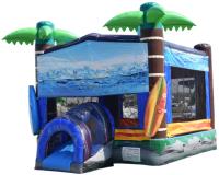Inflatable Rentals Chattanooga image 12