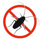 Ormond Beach Pest Control image 1