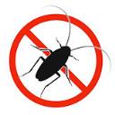 Ormond Beach Pest Control logo