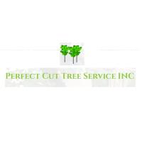 Perfect Cut Tree Service image 1
