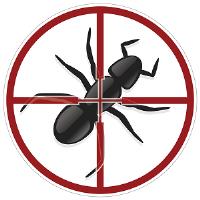Universal Pest & Termite, Inc. image 1