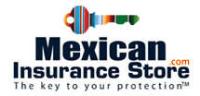 Mexican Insurance Store image 1