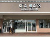Sea Oats Animal Hospital image 3