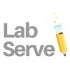 LabServe Consulting image 1