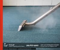 Tulip Carpet Cleaning North Miami image 2