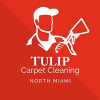 Tulip Carpet Cleaning North Miami image 6