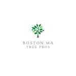 Boston MA Tree Pros - Tree Service Newton MA image 1