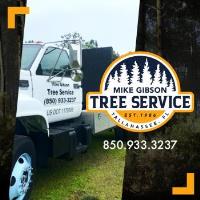 Mike Gibson Tree Service image 3