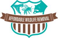 Affordable Wildlife Removal image 1