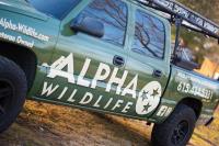 Alpha Wildlife image 1
