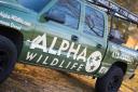 Alpha Wildlife logo