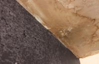 Mold Experts of Utah image 1