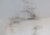 Mold Experts of Utah image 11