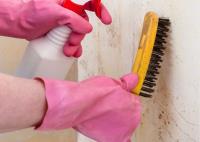 Mold Experts of Utah image 5