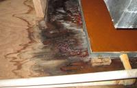 Water Damage Experts of Sanibel image 1