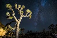 Stargazing Joshua Tree image 1