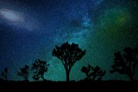 Stargazing Joshua Tree image 2