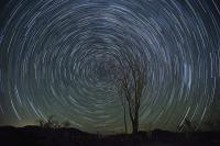Stargazing Joshua Tree image 9