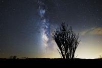 Stargazing Joshua Tree image 12
