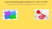  Internet Marketing Agency Mulberry FL image 2
