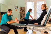 The Physical Therapy Effect image 1