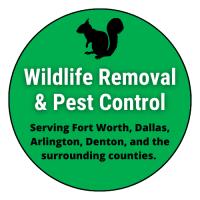 Fort Worth Wildlife Removal image 3