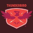 Thunderbird Custom Design logo