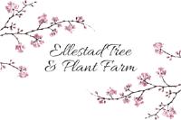 Ellestad Tree And Plant Farm image 1